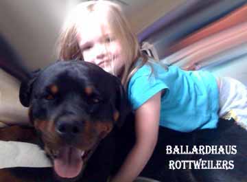Ballardhaus Rottweilers | Rottweiler Breeders | Rottweiler Puppies | German Rottweilers For Sale | Imported Rottweilers For Sale